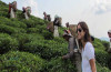 TEA GARDEN TOUR NEPAL