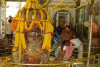 Rudra Abhishek Balbhog Paanchamrit Puja